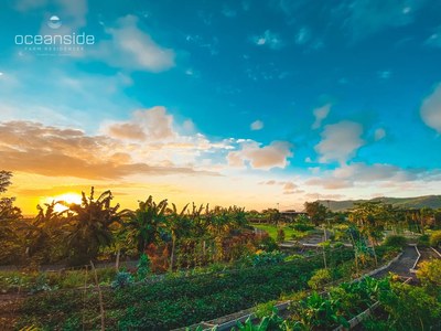 Oceanside Farm Residences – Espectaculares villas y casas en venta en Puerto Cayo, Ecuador – increíble y amplia granja de alimentos orgánicos