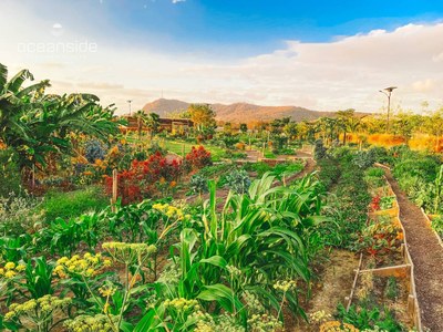 Oceanside Farm Residences – Spectacular villas and houses for sale in Puerto Cayo, Ecuador – incredible and spacious organic food farm