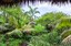 Hosteria-Mandala-Puerto-Lopez-Jardin-tropical-PFN_4568.jpg