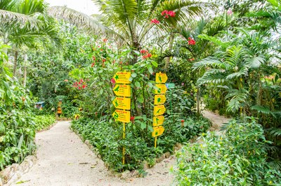 Hosteria-Mandala-Puerto-Lopez-Jardin-tropical-PFN_4608.jpg