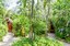 Hosteria-Mandala-Puerto-Lopez-Jardin-tropical-PFN_5625.jpg