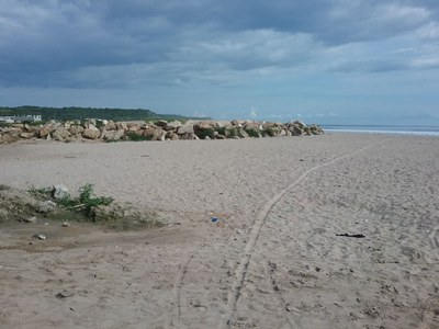   Sand And Surf Await