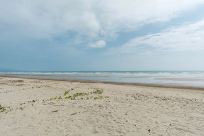 Exclusive-Beachfront-Lots-For-Sale-in-Canoa-2000-15.jpg