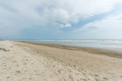 Exclusive-Beachfront-Lots-For-Sale-in-Canoa-2000-20.jpg