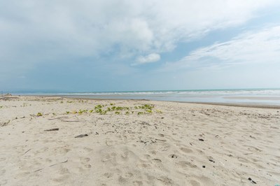 Exclusive-Beachfront-Lots-For-Sale-in-Canoa-2000-17.jpg