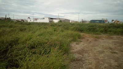 Lot Is Located Behind The Municipio
