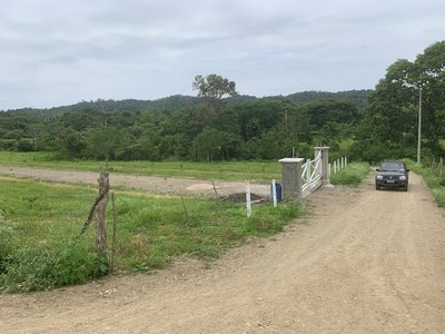 Road And Gate