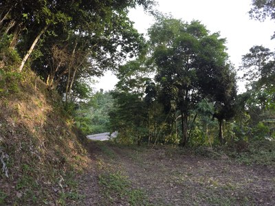 Paved Road and entrance to the Property