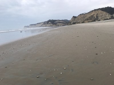 Broad Sandy Beach