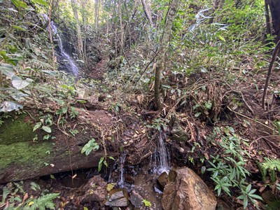 FOR SALE Waterfall, River & Opportunities Galore on 63 Hectares