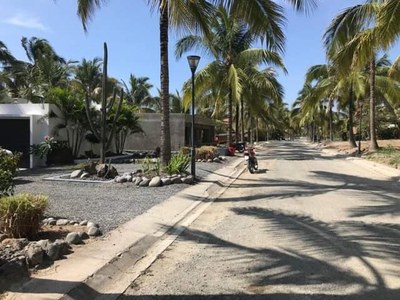 View Of Palm-Lined Street From Lot