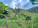 For Sale Rural Ecuadorian Homestead