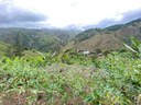 For Sale Rural Ecuadorian Homestead
