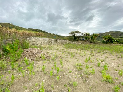 For Sale Investment Opportunity - Three Lots in One