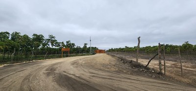 Vendo terreno 108 hectáreas, ideal para cultivo en Atahualpa, Santa Elena.