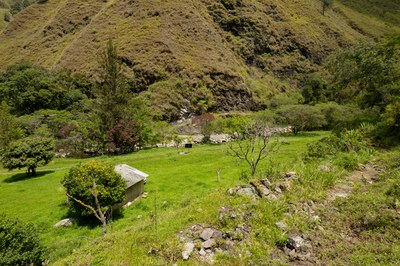 FOR SALE 1.7 Hectareas of Natural Beauty in front of Capamaco River