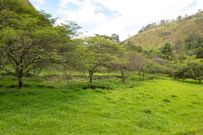 FOR SALE 1.7 Hectareas of Natural Beauty in front of Capamaco River