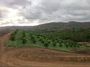 47 HA divididas en 2 fracciones de 17,58 HA y 30,34 HA en venta, zona agrícola situada en un valle. Vía Valdivia - Loma Alta, Santa Elena. Ecuador