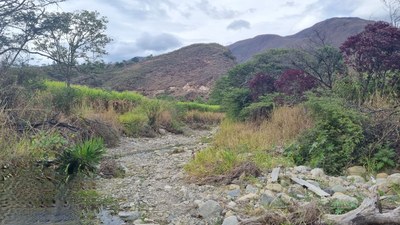 venta de terrenos en Quinara