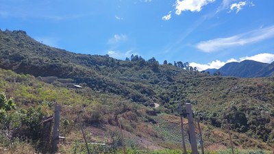 farm land for sale in Vilcabamba