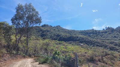 farm land for sale in Vilcabamba