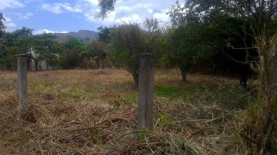 plot for sale in Vilcabamba