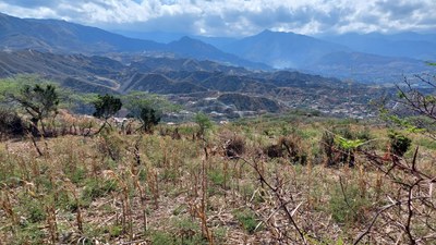 Farm land for sale in Malacatos, Ecuador