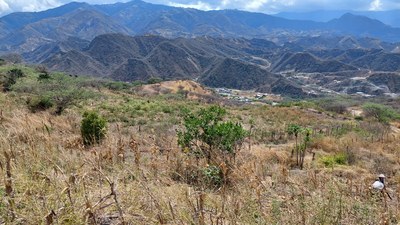 Farm land for sale in Malacatos, Ecuador