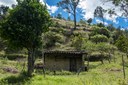 Farm land for sale, in Vilcabamba, Ecuador