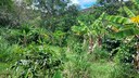 Wooded land for sale, in Vilcabamba, Ecuador
