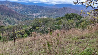 Property with view to the whole valley of Vilcabamba.