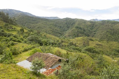 Property of 3.79 hectares with spring water and panoramic views