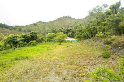 ​4356.67 Property with Orchard, Ideal for Construction