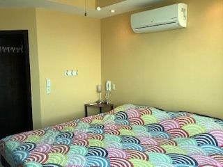  Colorful Master Bedroom Has Air Conditioner. 