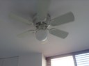 Ceiling Fan in Master Bedroom