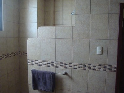 27 Guest Bathroom Shower.jpg