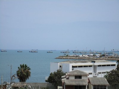  View Of All The Boats 