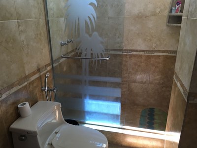  Decorative Shower Door 