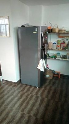Refrigerator And Pantry Shelves