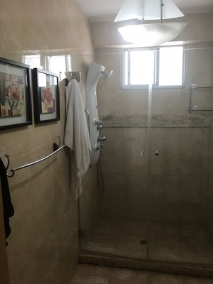 Master Bathroom Shower Tower.