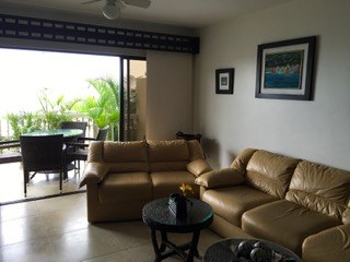 Living Room To Balcony View