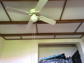 Second Bedroom Ceiling Fan