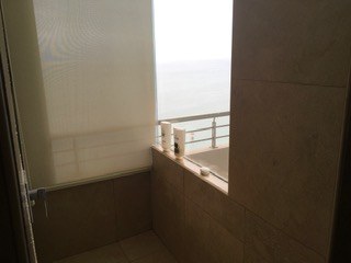 View From Master Bathroom Shower