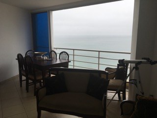 View From Living Area