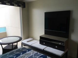   Master Bedroom TV 