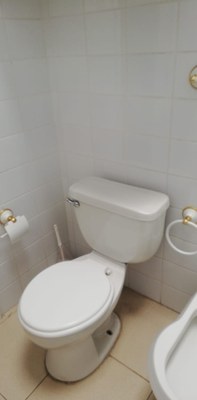 Toilet And Bidet In Shared Bathroom