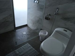 Master Bathroom Commode And Shower