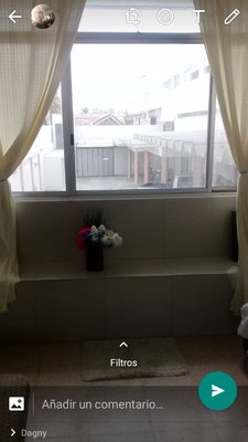 View Of Bedroom Window