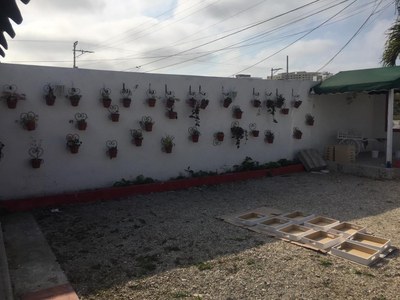 Decorative Flower Pots On Perimeter Wall