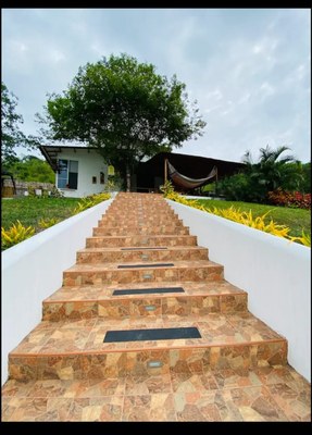   Walkway from the pool to the house.jpg